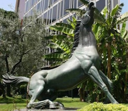 Cavallo Rai
